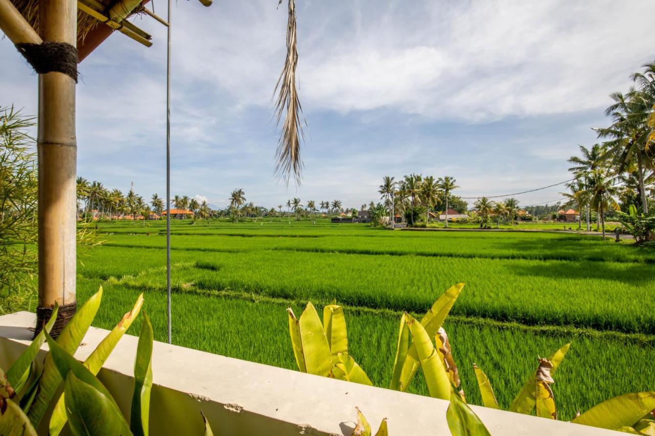 Sisin Ubud View Eksteriør billede